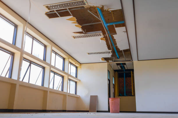 Best Water damage restoration near me  in Iron River, MI