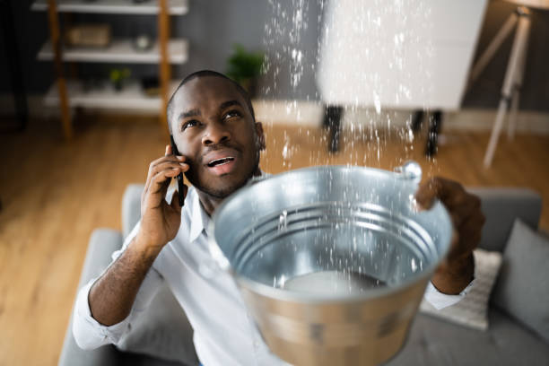 Best Local water damage restoration  in Iron River, MI