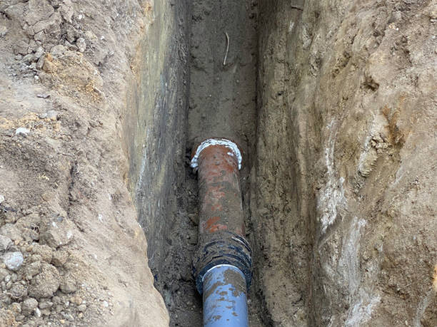 Best Professional water damage repair  in Iron River, MI