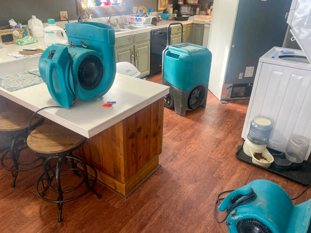 Best Residential water damage restoration  in Iron River, MI