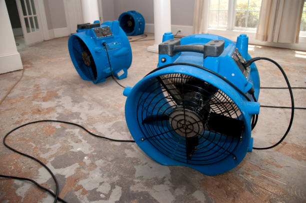 Best Carpet water damage restoration  in Iron River, MI